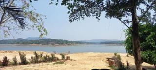 Evergreen Emerald - 1