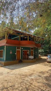 Evergreen Emerald - 5