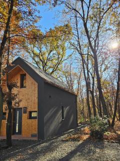 Bérc Kabin Kismaros - 3