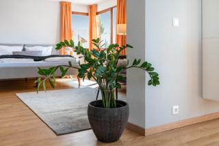 Die Ferienwohnung - 1