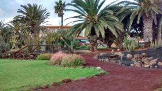 Le Poulpe bleu Fuerteventura chic and relax - 9