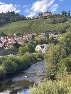 Ferienwohnung Gernsbach Oberstrot - 4