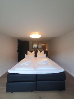 Garden Suite in Hinterzarten - 1