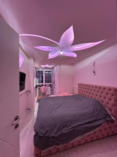 Amla's House - 1