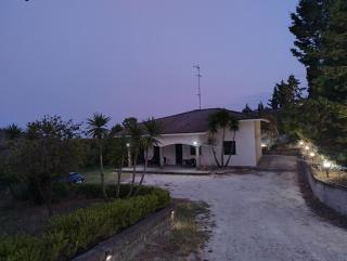 Odori di zagara - 7