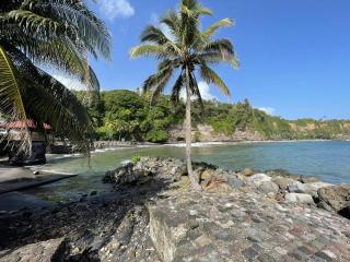 TROPIK'APPART 972 - Basse-Pointe - 9