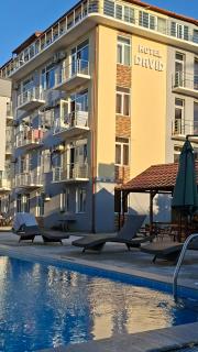 David Palace Hotel Ureki - 0