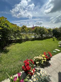 Green Home - 4