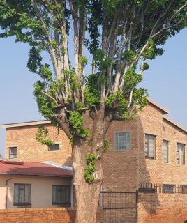 Strictly Halaal Brand New Self Catering Apartment - 9
