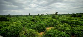 srishti guest house - 7