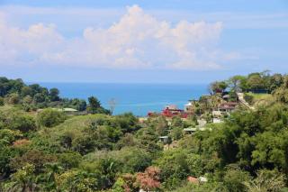 Jaguar, 2 BR Penthouse in Villa Mar y Sol, Nature and Wildlife - 8