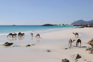 Stylish 2BR in Hawana Salalah with Beautiful Balcony - 3