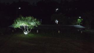 MDL, Centre for Seafarers International - 5