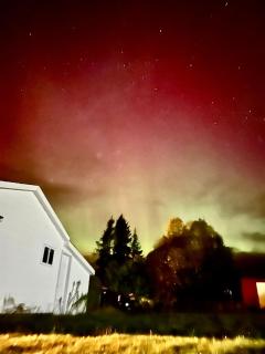 Bonne Bay Cottages - 3