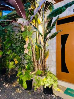 Umukindo Guest House - 2