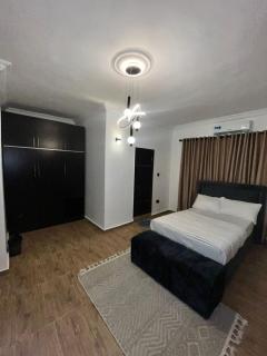 Cozy SHORTLET and apartment - 6