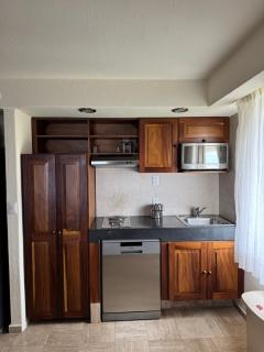 Buganvilias Resort Vacation Club - 7