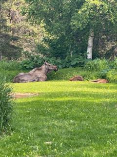 Highland Glen Lodge - 1