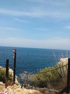 Il nido di tania - 5