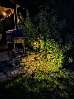 Apartments am Selker Noor - mit Naturpark, privater Terrasse und Bachlauf an der Selker Wassermühle - 2