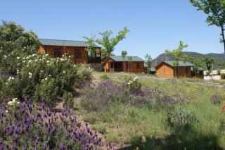 Lincetur Cabañeros - Centro de Turismo Rural - 8