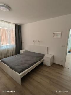 Modern comfort in the heart of the city of Dvůr Králové nad Labem - 8