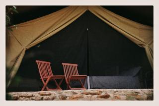 Mara Comfort camp -  - 7