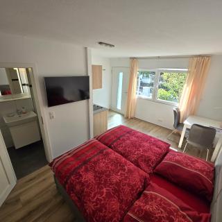 Gemütliches und komfortables Studio in Frankfurt - 9