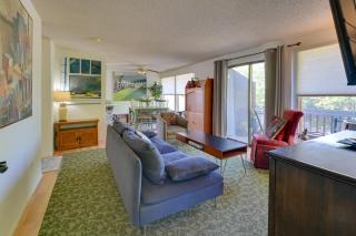 Hike, Bike and Explore Apt 2 Mi to Hollywood Beach - 7