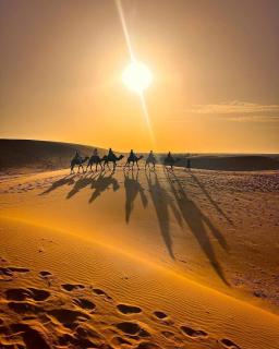 Brahim Oubira Oasis Merzouga - 2