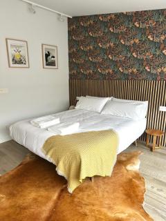 Casa Tilin - 6