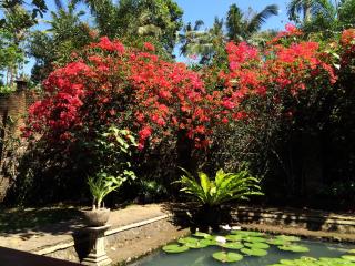 Mi Casa - The gem of Ijen - 2