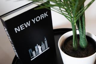 1BR River View - Parking - Sleeps 4 - 2