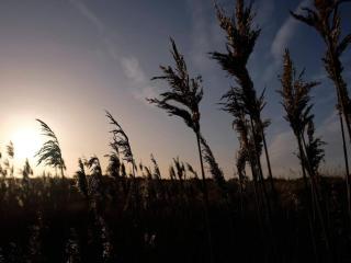 8 person holiday home in Hals-By Traum - 3