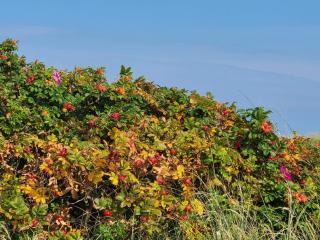 8 person holiday home in Sæby - 6