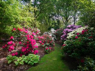 Luxury Spa Retreat in Lolland - By Traum Ferienwohnungen - 5