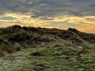 4 star holiday home in Fanø-By Traum - 1