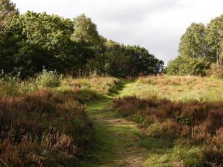Rustic Farmhouse Getaway - By Traum Ferienwohnungen - 2