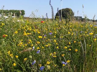 5 person holiday home in Nakskov - 1