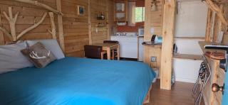 Dog Friendly Room with a Queen Bed and Kitchenette at the Cedaredge Lodge - Cedaredge - 7