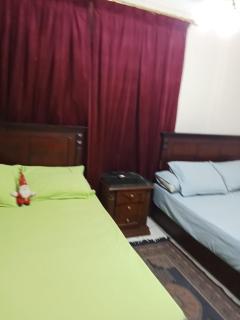 شقة اسكندرية - 0