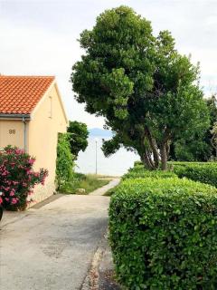 Apartments by the sea Petrcane - Zadar - 24879 - 4