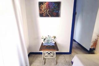 Hostal puebla - 9