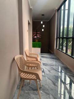 Homely Guest House - 1