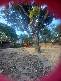 Cantinho Feliz - 5