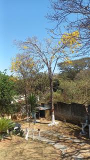 Cantinho Feliz - 8
