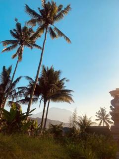 Villas Ume Sedani - 2