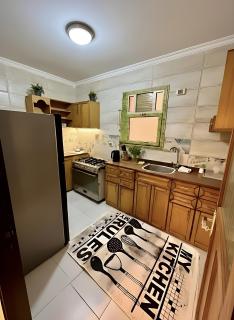 Modern Flat at Shiekh Zayed - 0