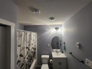 Cozy newly built basement suite - 3