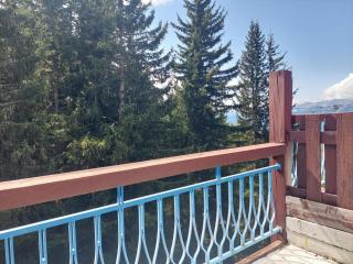 Studio confortable, ski aux pieds, balcon sud, 4 personnes - FR-1-346-586 - 1